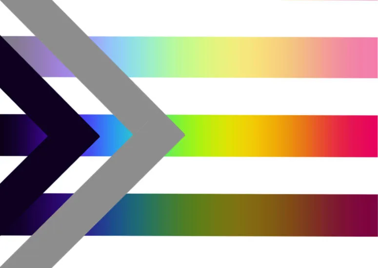 Stevie's questioning pride flag